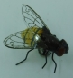 Mobile Preview: Magnetische Biene aus Kunststoff